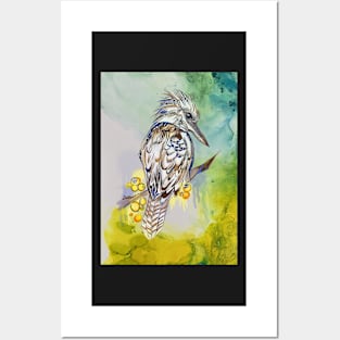 Kooka Wattle Posters and Art